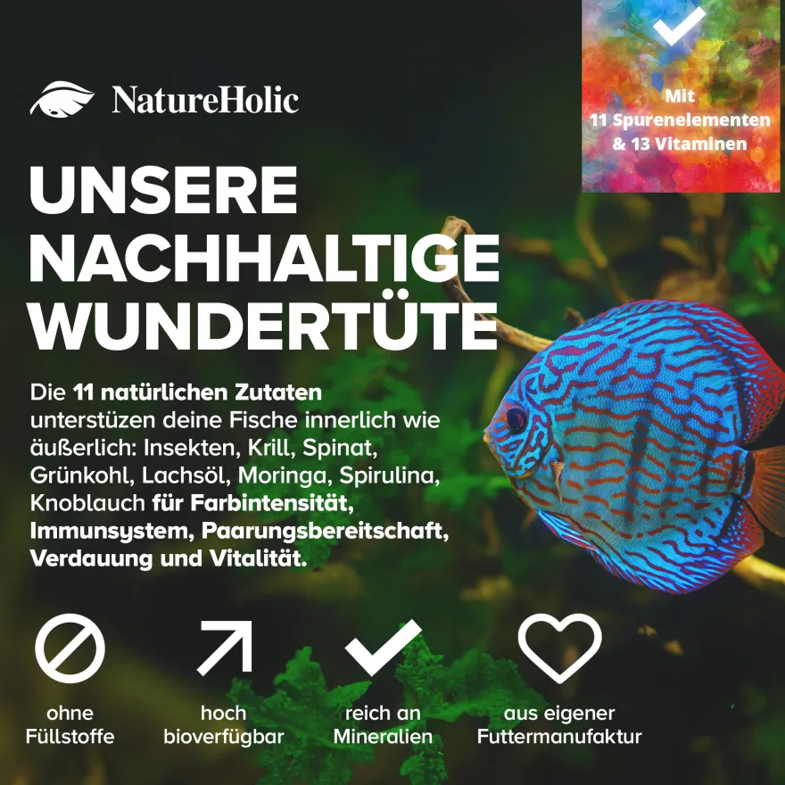NatureHolic Color Feed, Zierfischfutter zur Farbverstärkung, 30 g