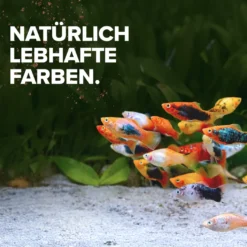 NatureHolic Color Feed, Zierfischfutter zur Farbverstärkung, 30 g