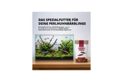 NatureHolic DanioFeed – Spezialfutter für kleine Danio-Arten – 30 g