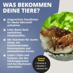 NatureHolic Fanfeed, Fächergarnelen Futter, 30 g