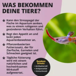 NatureHolic Garlic Drops, Fischfutter Zusatz für ein starkes Immunsystem, 30 ml