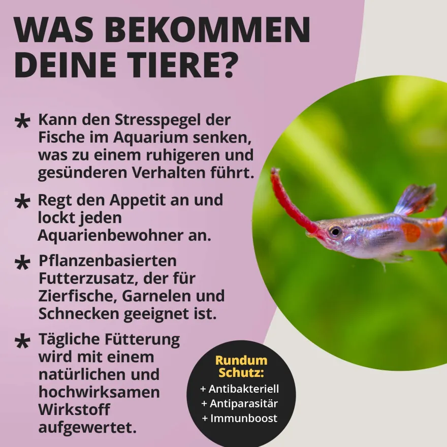 NatureHolic Garlic Drops, Fischfutter Zusatz für ein starkes Immunsystem, 30 ml