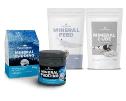 NatureHolic Garnelen Häutungs Booster Mineralien Bundle, Mineralcubes, Mineralfeed & Mineralpudding