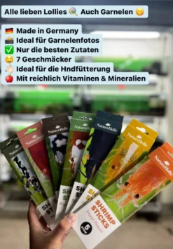 NatureHolic Garnelen Lollies „Brennnessel Boost“, 5 Lollis