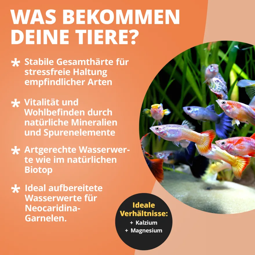 NatureHolic GH Salt, Aufhärtesalz zur Erhöhnung der Gesamthärte, 100 g