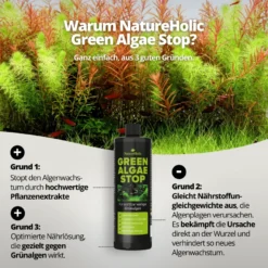 NatureHolic Green Algae Stop, Grünalgen Entferner, 250 ml