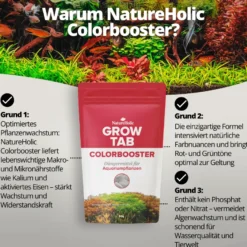 NatureHolic Grow Tab Colorbooster, Effektive Düngetabs, 50 g
