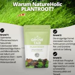 NatureHolic Grow Tab Plantroot, Effektive Düngetabs, 50 g