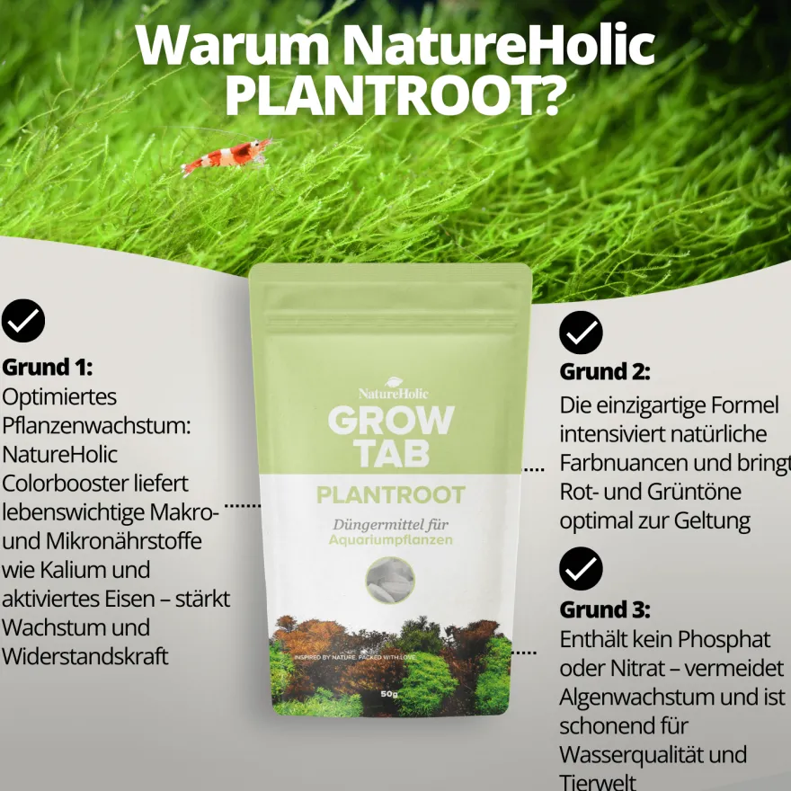 NatureHolic Grow Tab Plantroot, Effektive Düngetabs, 50 g