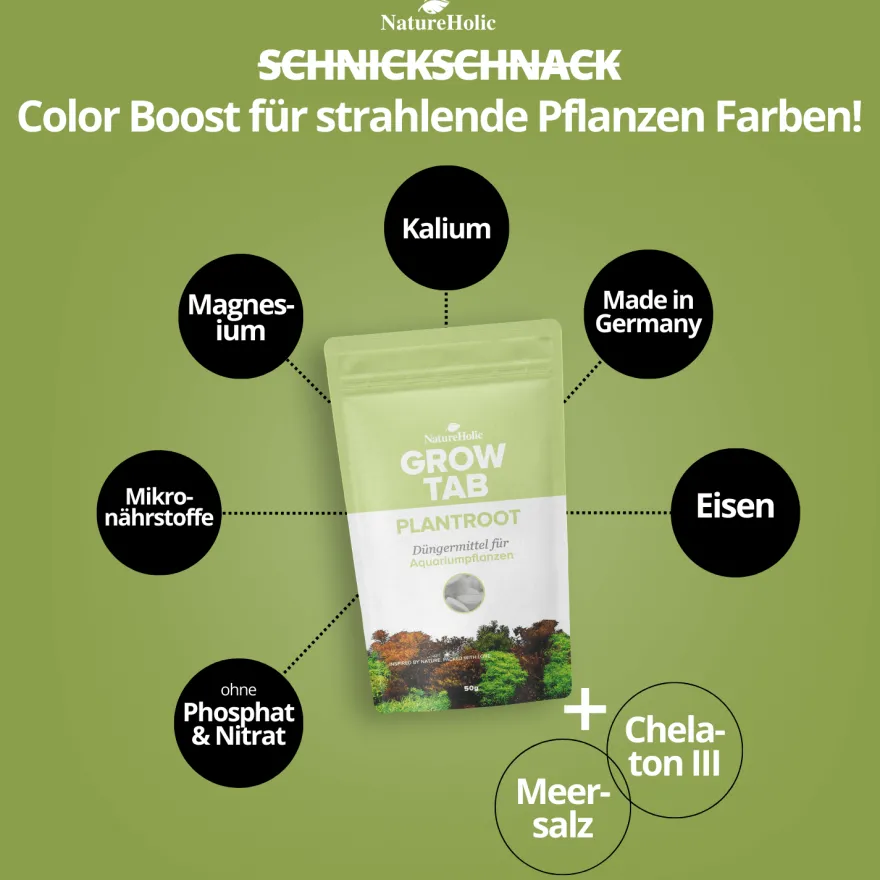 NatureHolic Grow Tab Plantroot, Effektive Düngetabs, 50 g