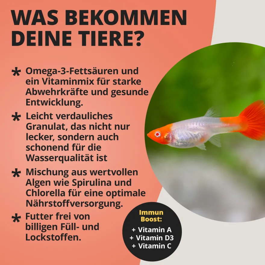 NatureHolic Guppyfeed, Futter für Guppy, 30 g