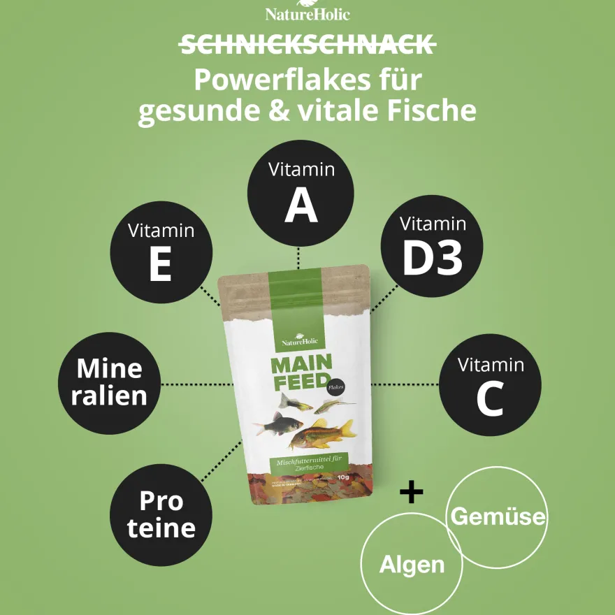 NatureHolic Mainfeed Flocke, Hauptfutter für Zierfische, 50 ml