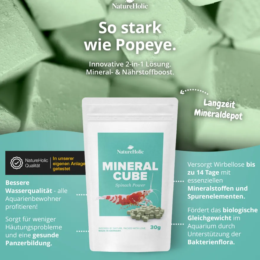 NatureHolic MineralCube Bundle, Mineralien für Garnelen, Schnecken & Krebse, 3 x 30 g