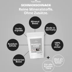 NatureHolic MineralCube Pure Mineral, Mineralfutter, 30 g