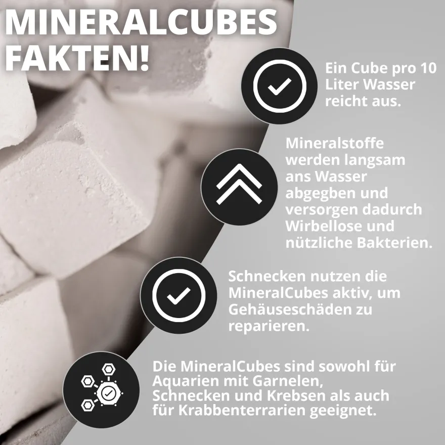 NatureHolic MineralCube Pure Mineral, Mineralfutter, 30 g