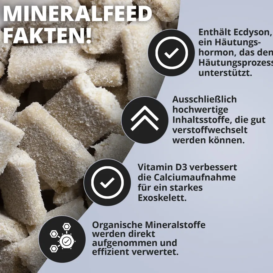 NatureHolic Mineralfeed, Garnelenfutter, 30 g