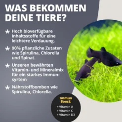NatureHolic MollyFeed, Fischfutter, 30 g