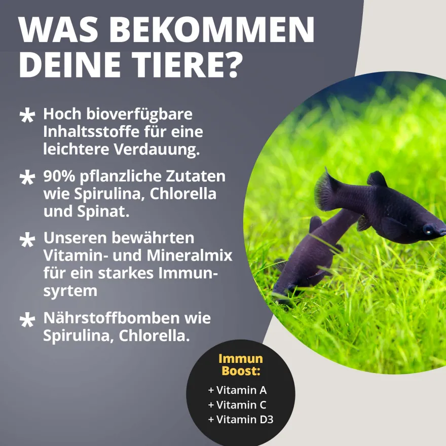 NatureHolic MollyFeed, Fischfutter, 30 g