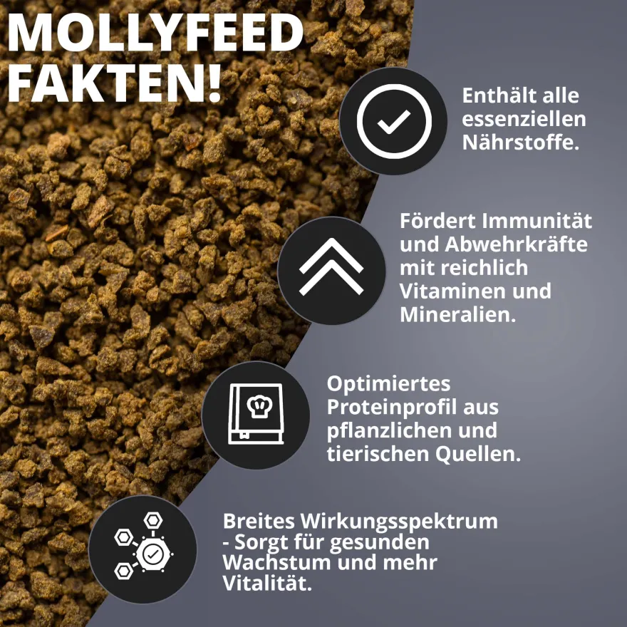NatureHolic MollyFeed, Fischfutter, 30 g