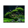 NatureHolic MossPad – Moospad für Aquarien – 5er Set