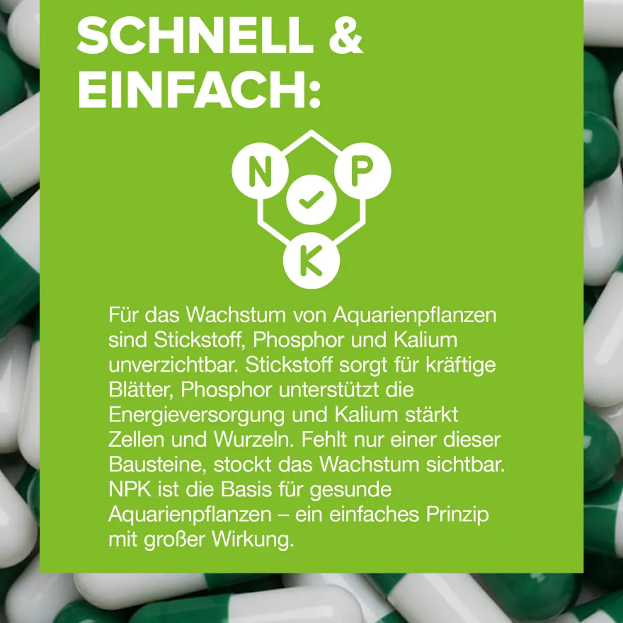 NatureHolic NutriCaps, Bodengrunddünger Kapseln, 11 g