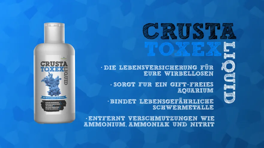 NatureHolic 3 Phasen Liquid, Aquarium Pflegeset, 3 x 125 ml