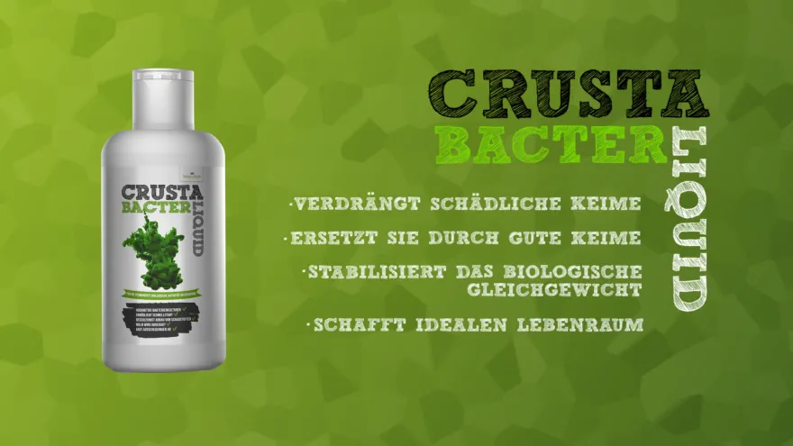 NatureHolic 3 Phasen Liquid, Aquarium Pflegeset, 3 x 125 ml