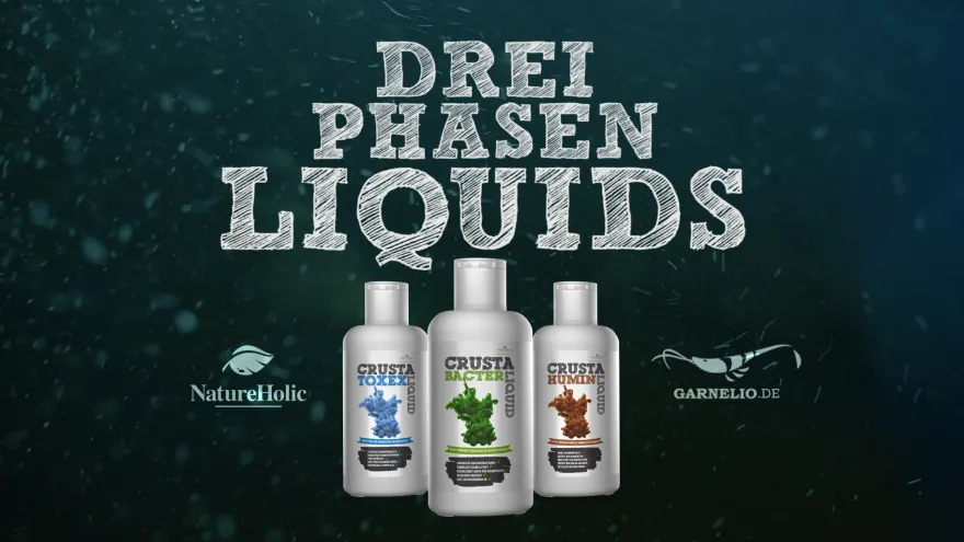 NatureHolic 3 Phasen Liquid, Aquarium Pflegeset, 3 x 125 ml