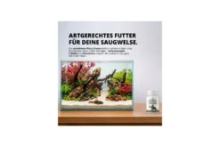 NatureHolic Pleco Cream – Futterpaste für Welse – 100 g