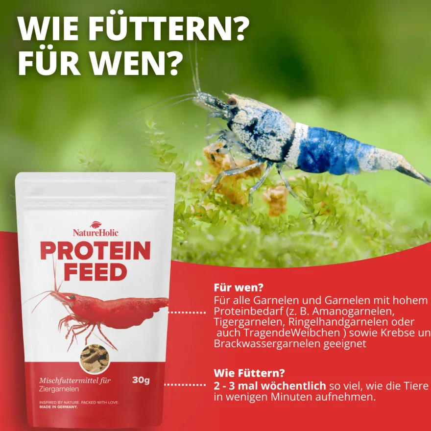 NatureHolic Proteinfeed, Garnelenfutter, 30 g