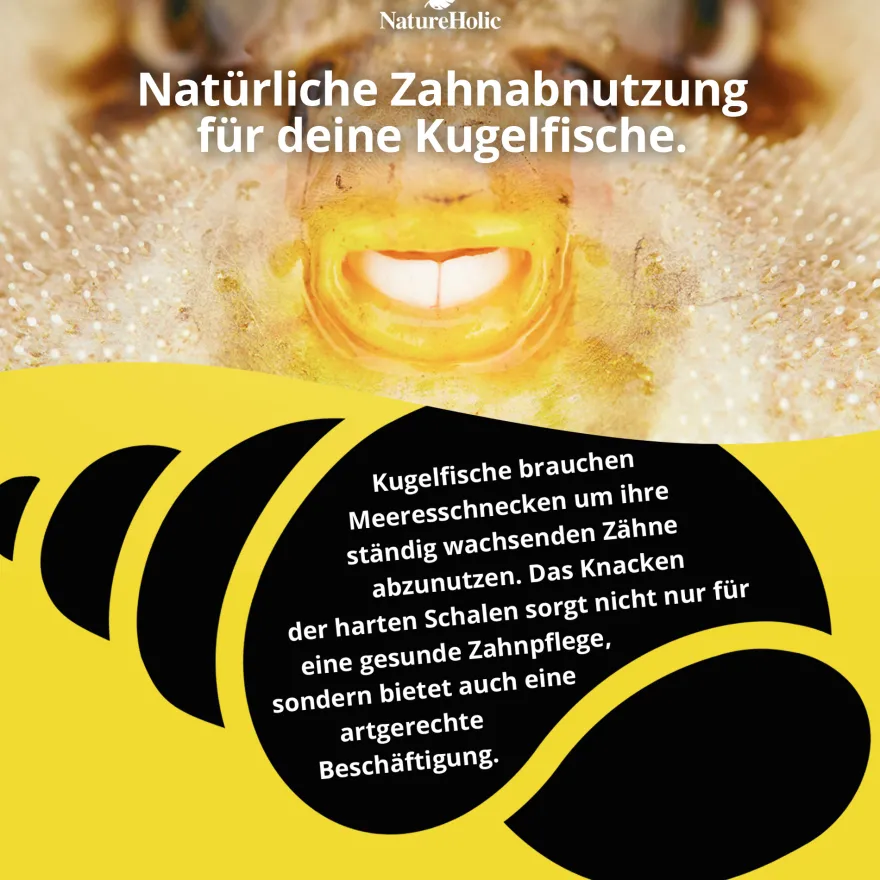 NatureHolic Pufferfeed, Schnecken für Kugelfische, 30 g