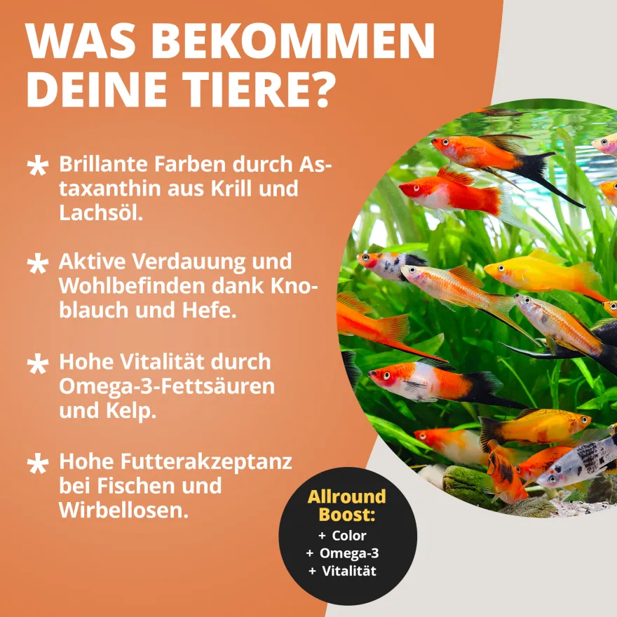 NatureHolic Pure Flakes Krill, Zierfischfutter, 30 g