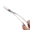 NatureHolic Scaping Scissors wave silver, geschwungene Pflanzenschere, 25 cm