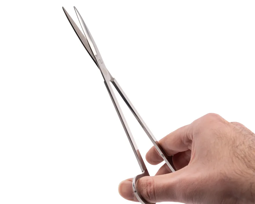 NatureHolic Scaping Scissors straight silver, gerade Pflanzenschere, 30 cm