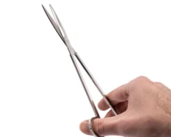 NatureHolic Scaping Scissors straight silver, gerade Pflanzenschere, 22 cm