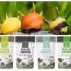NatureHolic Snackbundle für Schnecken, Carrot'n Pea, Moringa, Spirulina & Snow Pops, 4 x 30 g
