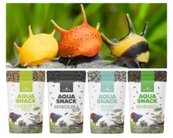 NatureHolic Snackbundle für Schnecken, Carrot'n Pea, Moringa, Spirulina & Snow Pops, 4 x 30 g