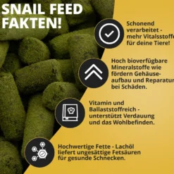 NatureHolic Snailfeed Sticks, Schnecken Futtersticks, 30 g