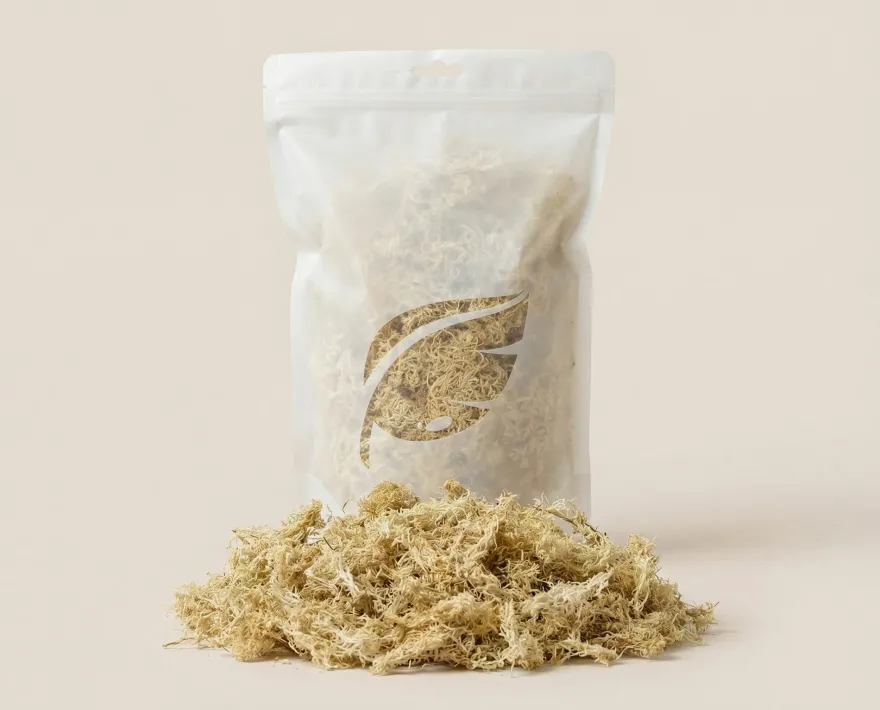 NatureHolic Sphagnum Moos, Terrarien Moos, 1 Liter