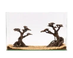 NatureHolic Stone Bonsai Kasei Twin, 2 Bäume