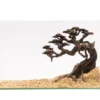 NatureHolic Stone Bonsai Kengai, 24 x 25 x 10 cm