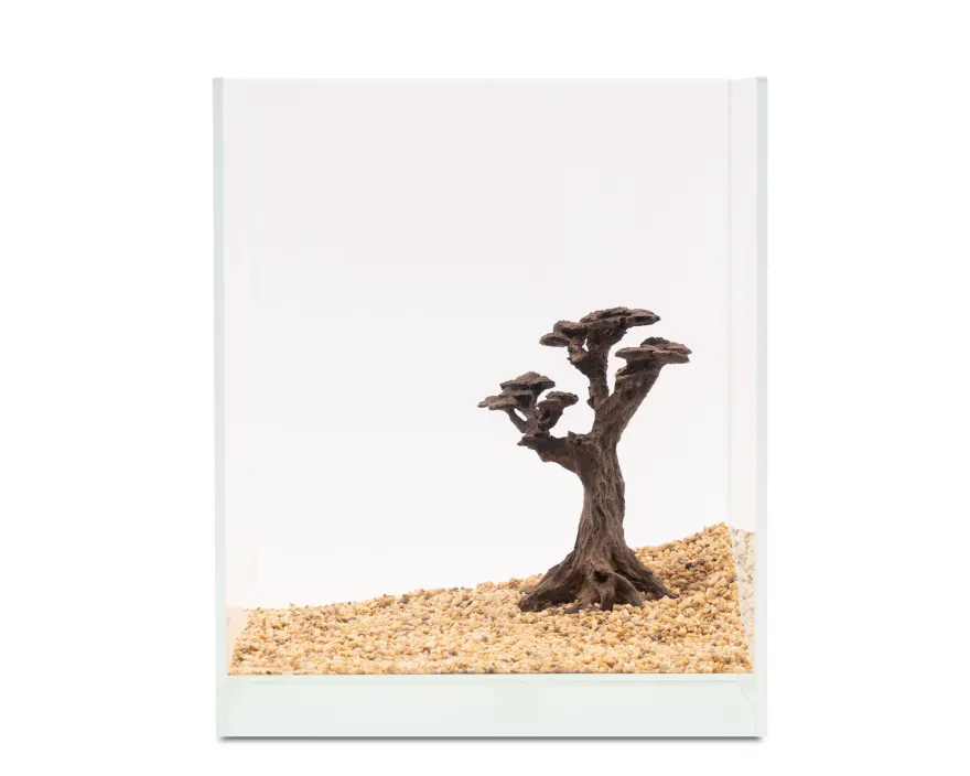 NatureHolic Stone Bonsai Pico, 14,5 x 13 x 6 cm