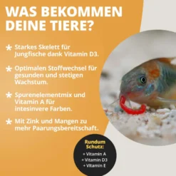 NatureHolic Vita Drops Fish, Fischfutter Zusatz für mehr Vitalität, 30 ml