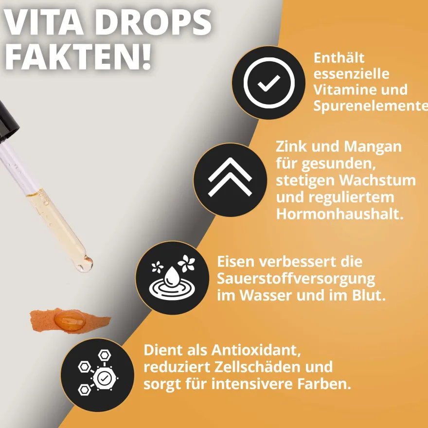 NatureHolic Vita Drops Fish, Fischfutter Zusatz für mehr Vitalität, 30 ml