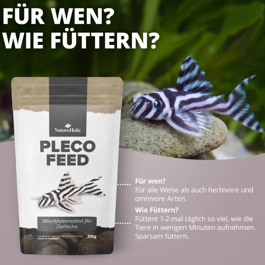 NatureHolic Welsfeed, Wels Futter Tabs, 30 g