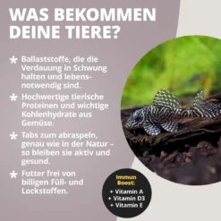 NatureHolic Welsfeed, Wels Futter Tabs, 30 g