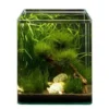 Pflanzensortiment Biosphere Cube für 30 l Nano-Aquarium, Aquarienpflanzen-Set