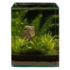 Pflanzensortiment Blyxa Cube für 10 l Nano-Aquarium, Aquarienpflanzen-Set