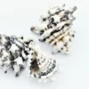 Schneckenhaus Zebra, dunkel, 4-7 cm, 3 Stück
