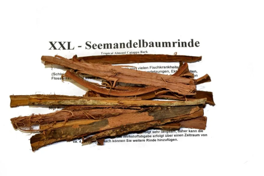 Seemandelbaumrinde XXL, 50 g